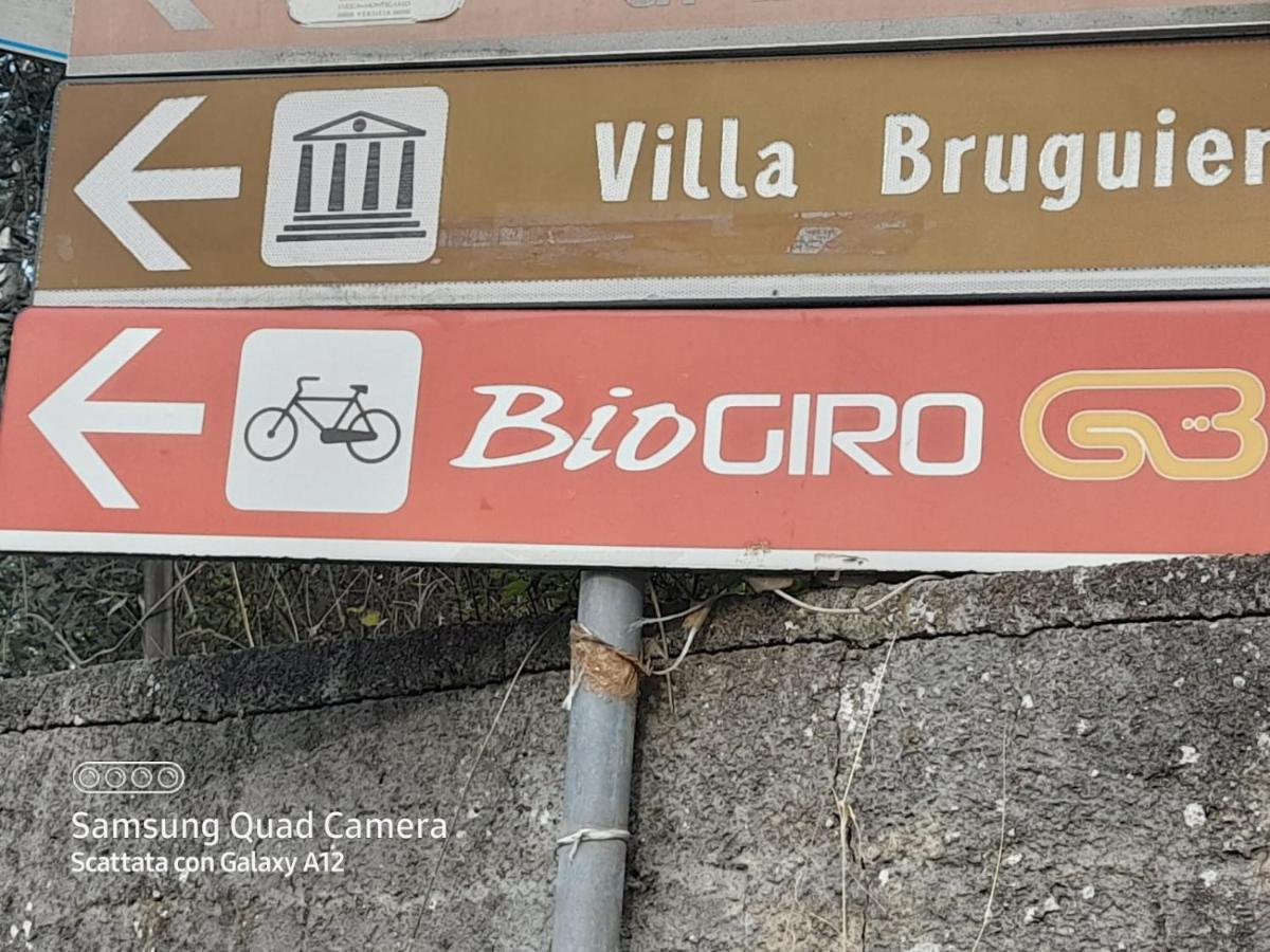 La Casa Di Debby Parcheggio Wi-Fi , Aria Condizionata Gratuiti Apartamento Capannori Exterior foto