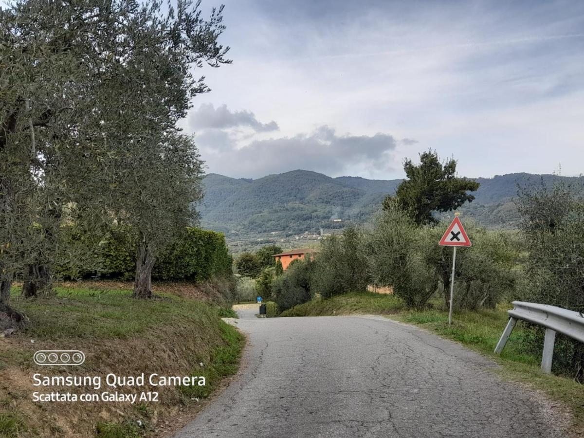 La Casa Di Debby Parcheggio Wi-Fi , Aria Condizionata Gratuiti Apartamento Capannori Exterior foto